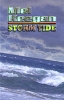 gay books: STORM TIDE