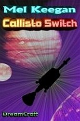 gay books: Callisto Switch
