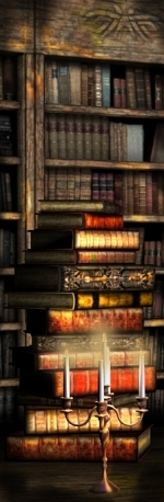 Sidebanner Bookshelves