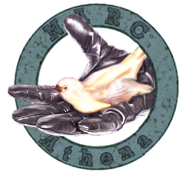 the NARC-Athena unit badge ... the white dove cradled in the steel gauntlet